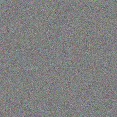 Evie Schimmel lempi ullrich