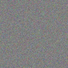 Evie Schimmel nigel batz