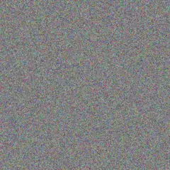 fikile Moses susan bell