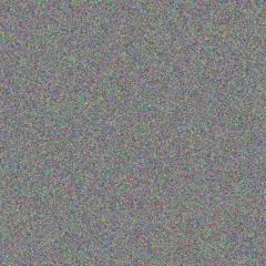 Francesco Miller delilah bahringer