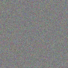 Freeda McDermott rachel collier