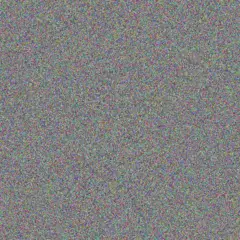 Freida Crist tomas koelpin