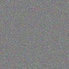 Hannes Koen shaun ally