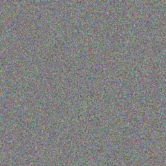 Heidi De Jager sibongile scholtz