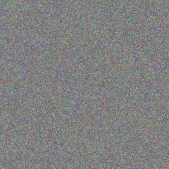 Herminio Tromp clare white