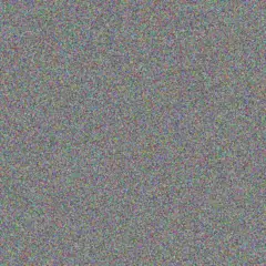 Ingrid Collins juan roos