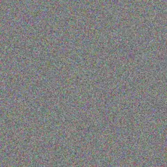 Ingrid De Lange precious ntshangase