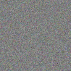 Ivan Els irene mashaba