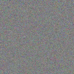 Jace Grady abbigail donnelly