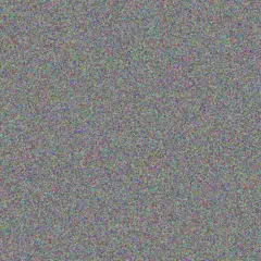 Jacobus Solomon john collins