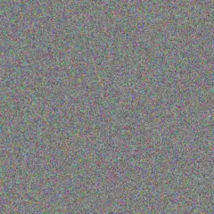 jacobus van Staden frans els