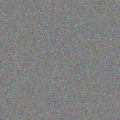 Jany Conroy chasity grady