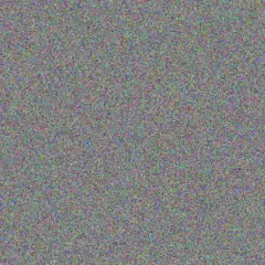 Jany Conroy kasey lueilwitz