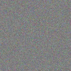 Jazmyn Robel wilmer lesch