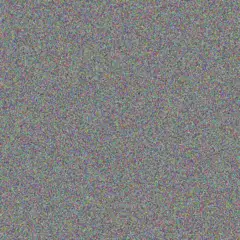 Jenny Hughes mogamat banda