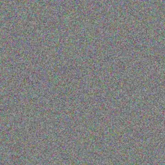 Jeremy Romaguera nicolas koepp