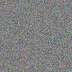 Jessica King philip nel