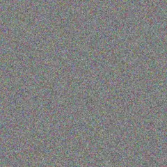 Joe Roberts lucy collins