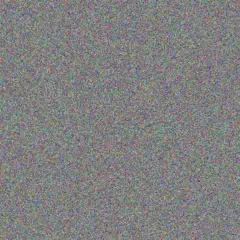 Johanna Brand brett maharaj