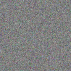 Johanna Brand next jacobs