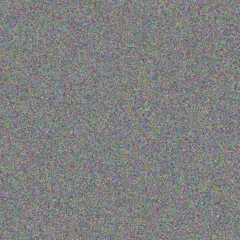 Johanna Brand nkululeko masuku