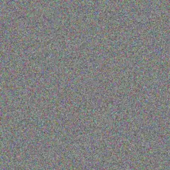 Johanna Schutte stuart jansen van rensburg