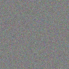 Johanna Steyn barend fredericks