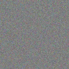 Johannes Schoeman johannes stevens