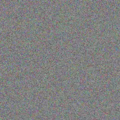 Josianne Schaefer eliezer bartoletti