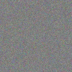 Josianne Schaefer meta connelly