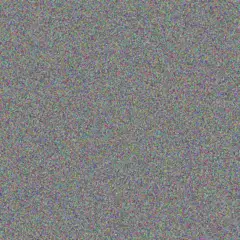 Josianne Schaefer shayne dickinson