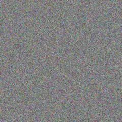 Judith Cilliers ivan modise