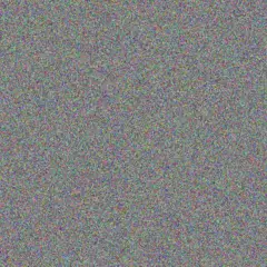 Judith Makhanya nonkululeko fourie