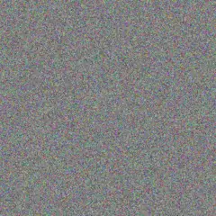 Julia Lawrence gary moses