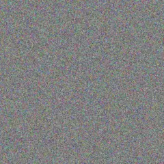 Julia Lawrence lauren willemse