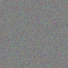 Justus Steuber eddie wolff