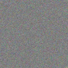 Kagiso Mashaba lydia van der westhuizen