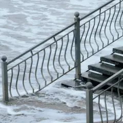 Karti Krumba pexels marina zvada