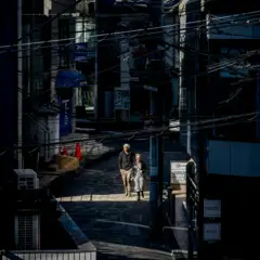 Karti Krumba pexels paolo sanchez