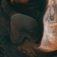 Karti Krumba pexels pok rie