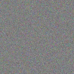 Kaylie Ebert sebastian powlowski