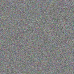 Kelly Chetty fikile pienaar