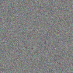 Kelly Chetty nomfundo bosch