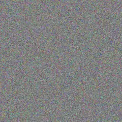 Kelly Patel barry cook