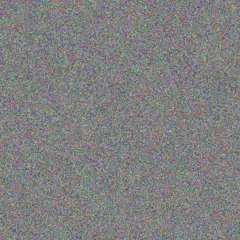 Kelly Young nicole burger