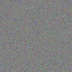 Keven Barton alexander torp