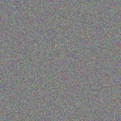 Kirsty Kelly zach holmes