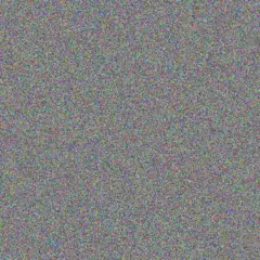 Lauren Smit graham hoffman