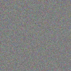 Lauren Wolmarans chantel de wet