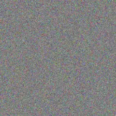 Lauren Wolmarans gordon sibanda